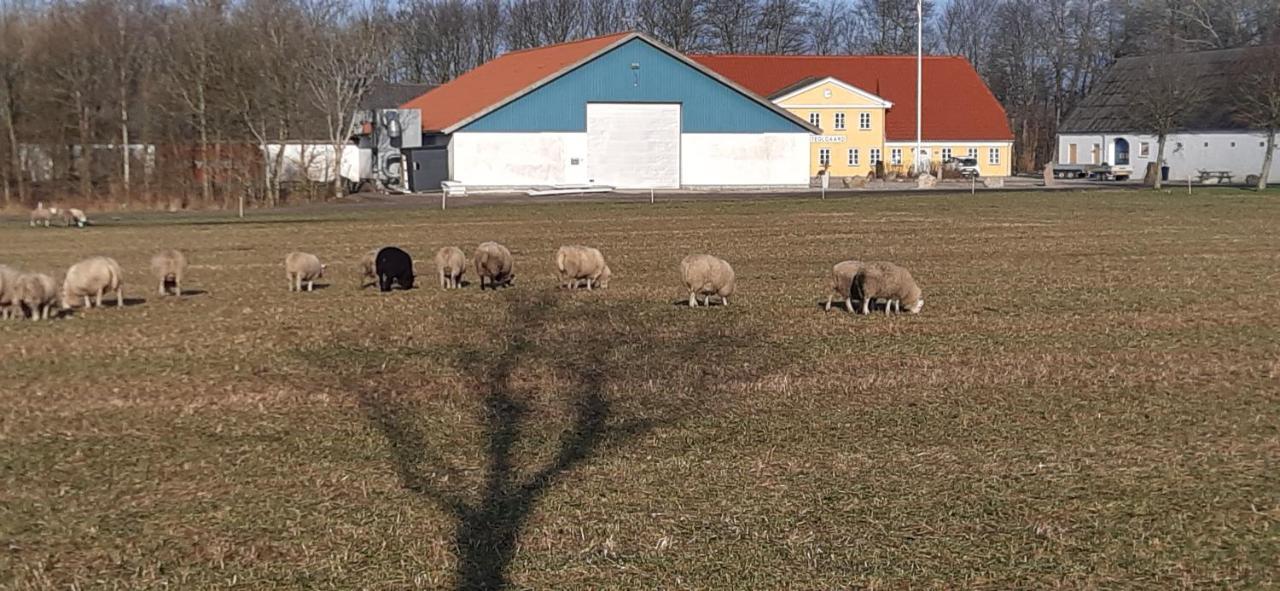 Agnes Bed And Breakfast Bække Екстериор снимка